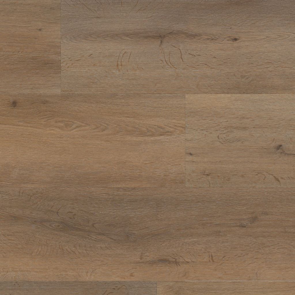 Leyton dryback smoky