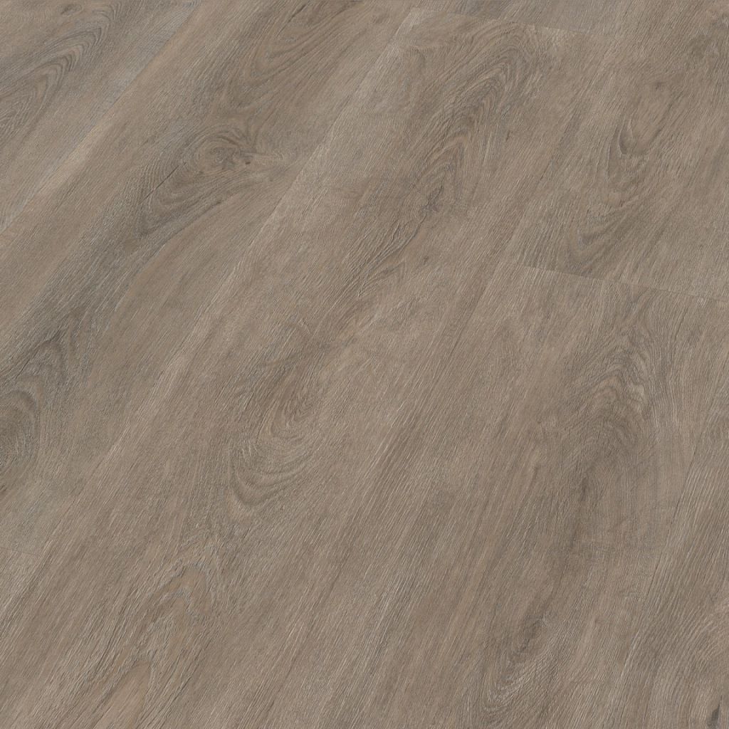 Parramatta dryback smokey