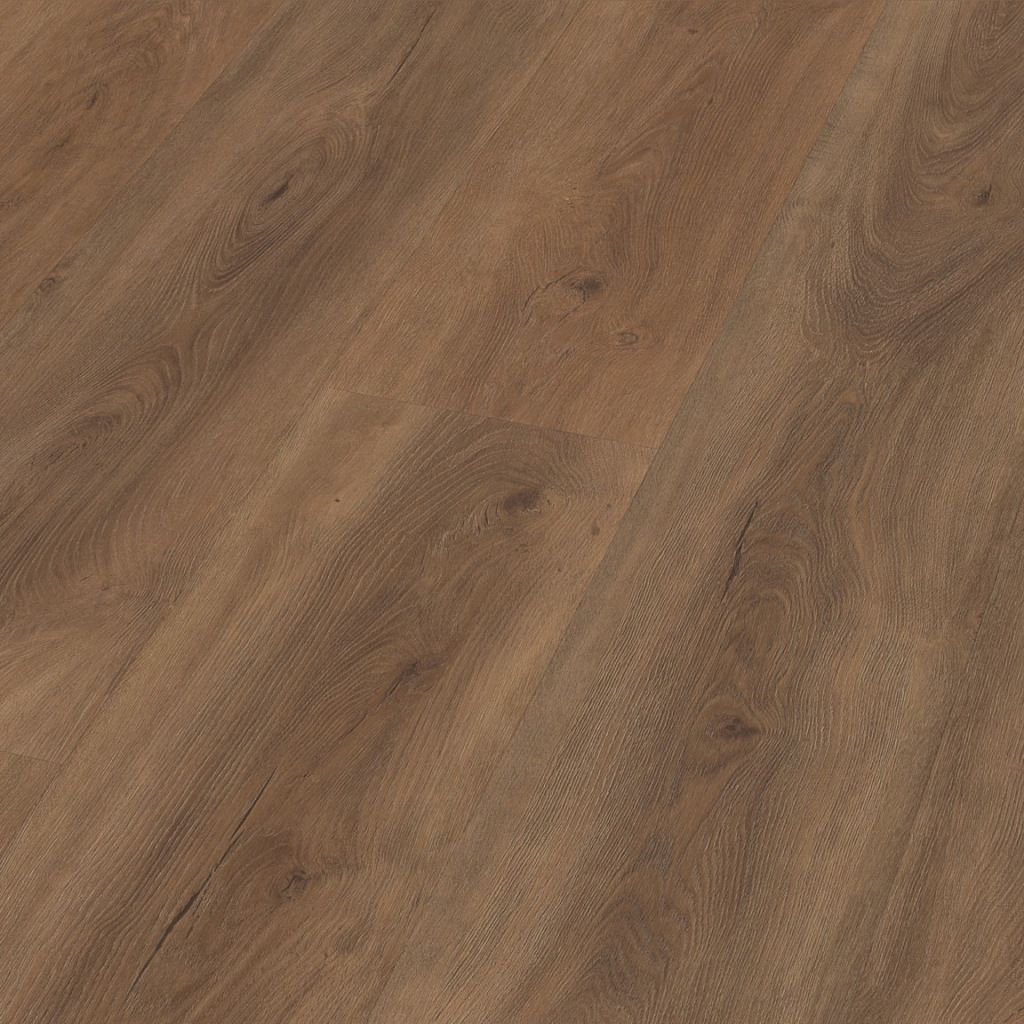 Parramatta dryback warm brown
