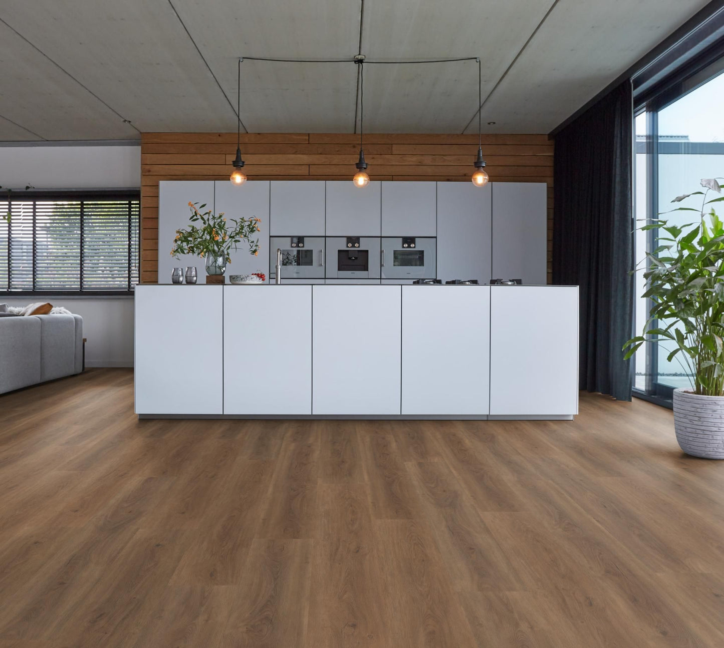 Parramatta dryback warm brown