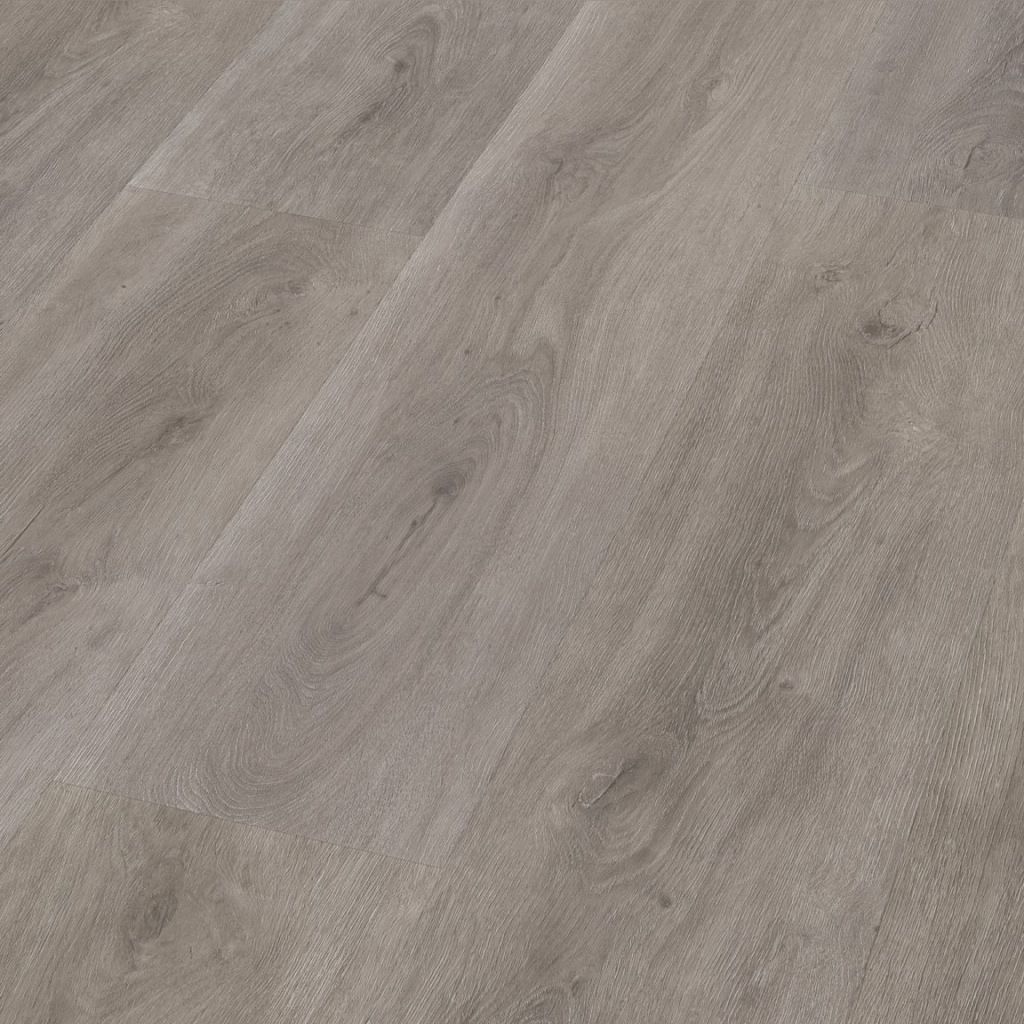 Parramatta dryback grey oak