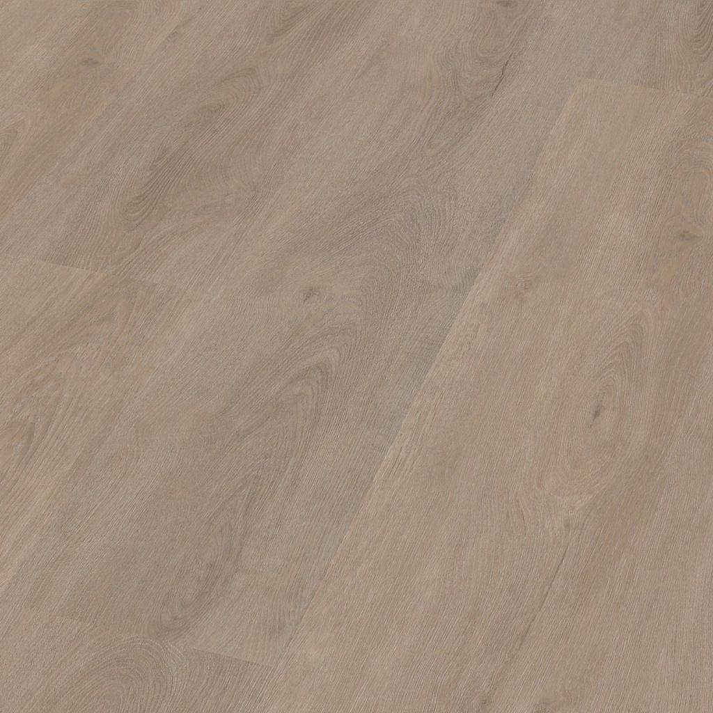 Parramatta dryback light oak