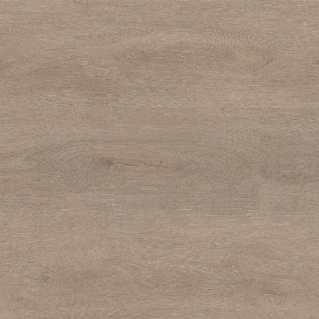 Parramatta dryback light oak